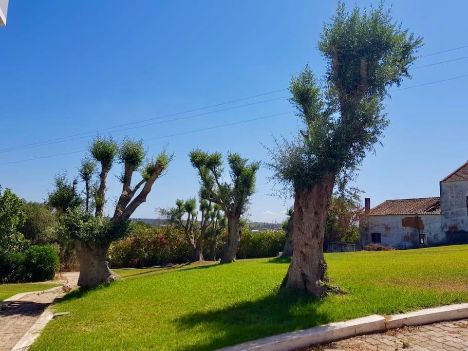 Blue Skies Villas 1&2 Mexilhoeira Grande Екстериор снимка